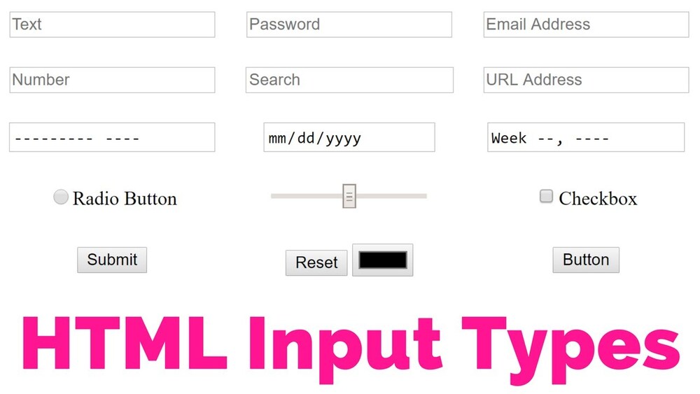 Các loại (type) input trong HTML