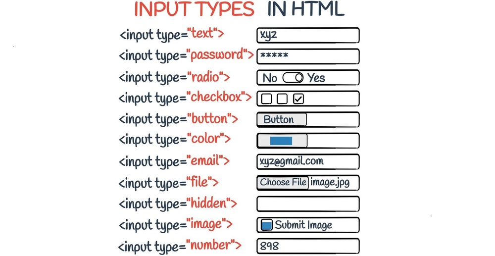 Ví dụ về thẻ input trong HTML