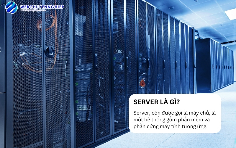 server là gì